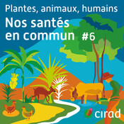[Nourrir le Vivant] - Santé et solidarité