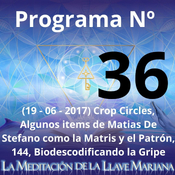 Programa Nº 36 (19 - 06 - 2017) Crop Circles, Algunos items como la Matriz y el Patrón, 144, Biodescodificando la Gripe