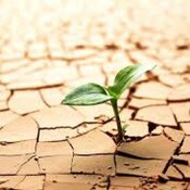 Historias de un jueves 4: Resiliencia