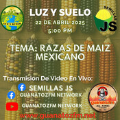 Luz y Suelo 22 De Abril 2025