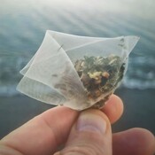 21. ¿Son las bolsas de té biodegradables? con Alicia Mateos