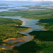 20. Devolvamos a la naturaleza su espacio con Sofía Heinonen de Rewilding Argentina