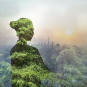 Sostenible y renovable en Radio 5 - Tecnología para la conservación forestal - 12/04/25
