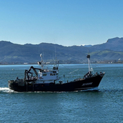 LLegan al puerto de Santoña los primeros bocartes de costera/ Miguel Fernández, presidente de la Cofradía de Pescadores