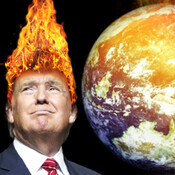 Donald Tonto