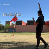 264.- Papaleta
