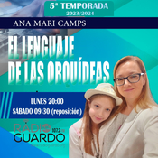 76, Hoy descubrimos lo que nos ha hecho sentir el primer Retiro de Re-conexión con NOMADACOACH y AMORZEN