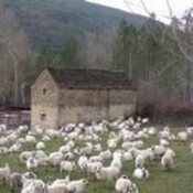 Aragón Radio visita la finca La Garcipollera