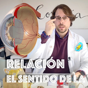 Relación, Los receptores y el Sentido de la Vista