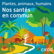 Bande annonce Nourrir le Vivant