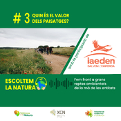 Quin és el valor dels paisatges?