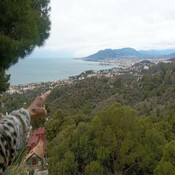 Vecinos de Pinares de San Antón contra los 300 chalés de lujo previstos en los Montes de Málaga: "Aquí no va...