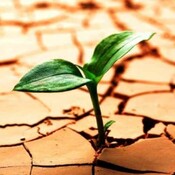 En tiempos de Resiliencia