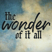 The Wonder of His Service