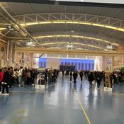 Programa Especial Colegio Menéndez Pelayo Feria Raíces 16-04-25