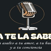 Ya te la sabes 15022025 p333