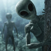 Voces del Misterio: Civilizaciones extraterrestres, con José Manuel Nieves