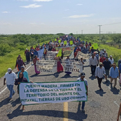 Desenredades #12: La lucha contra los megaproyectos en el Istmo de Tehuantepec