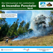 Día Internacional del Combatiente de Incendios Forestales