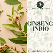 El Ángel de tu Salud - Ginseng Indio**