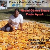 VOCES Y CANTOS DE LA TIERRA VIVA 141 "NOEMÍ GÓMEZ BRAVO, POETA AYUUK"