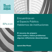 El recurso de amparo: retos reales y falsos problemas: algunas reflexiones desordenadas