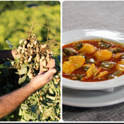 Gastro SER | València más allá de la paella: cacahuete, angulas y cangrejo azul