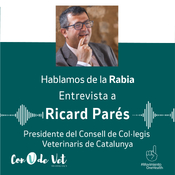 Hablamos de la rabia con Ricard Parés | Con V de Vet