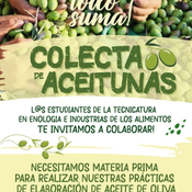 COLECTA DE ACEITUNAS PARA PRÁCTICAS DE ESTUDIANTES. Vanina Abraham. Coord. Tecn.en Enología e Ind. de los Alim.