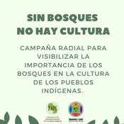 Mbya Guaraní 2 (en español)