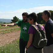 De Puertas al Campo – Melón de Torres de Berrellén (08/09/2018)