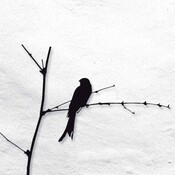 El sentido de la vida - Inspirado por Viktor Frankl 