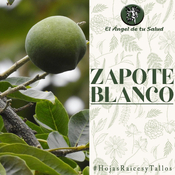 El Ángel de tu Salud - Zapote Blanco**