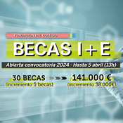 La Fundación del Colegio entrega más de 140.000 euros en Becas de Investigación y Estancia en formación