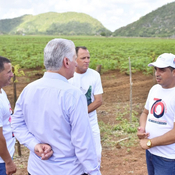 Los pineros miran hacia su propia sostenibilidad