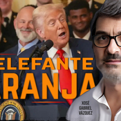 ⭕️ EL ELEFANTE NARANJA