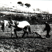 9.2.- Las Huertas de la Ribera de la Valmuza en Vega de Tirados