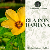 El Ángel de tu Salud - GLA con Damiana**