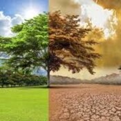 El Cambio Climático: El hombre es una plaga para este planeta