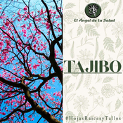 El Ángel de tu Salud - Tajibo**