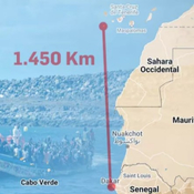 136. Las Pájaras Nómadas: Rutas migratorias