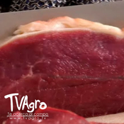 Cualidades de la Carne de Res - TvAgro por Juan Gonzalo Angel Restrepo