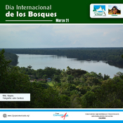 Día Internacional de los Bosques