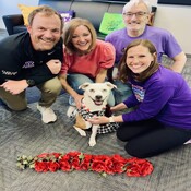 Feel Good: Furry Derby Paw-Tay