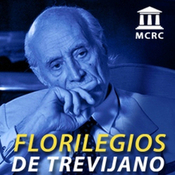 No es materia constitucional