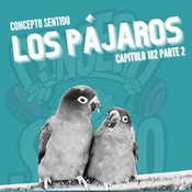 Concepto 182 | 🐦 LOS PÁJAROS (Parte 2) 🐤