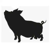 Capítulo 6: Animales (parte 1)