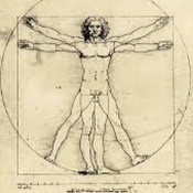 EL HOMBRE DE VITRUVIO