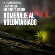 Sector 3: La Palma, Compasión, Bien Común y otros proyectos solidarios navideños