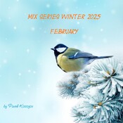 Pavel Kosogov - Mix Series Winter 2025 (February)